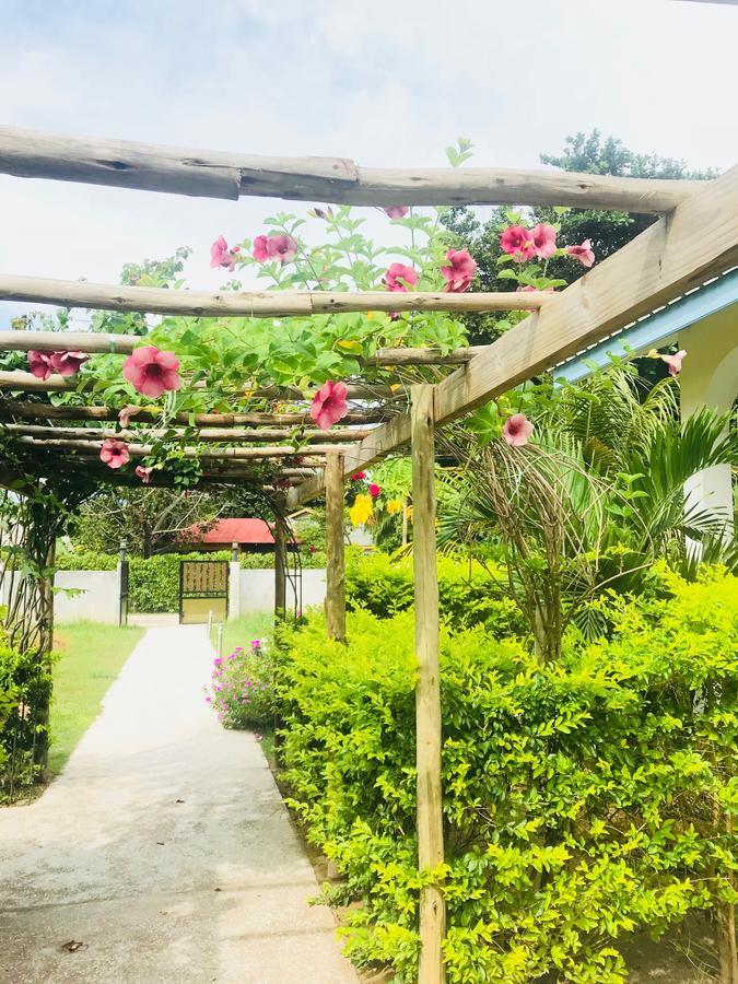 Coral Apartments La Digue Εξωτερικό φωτογραφία